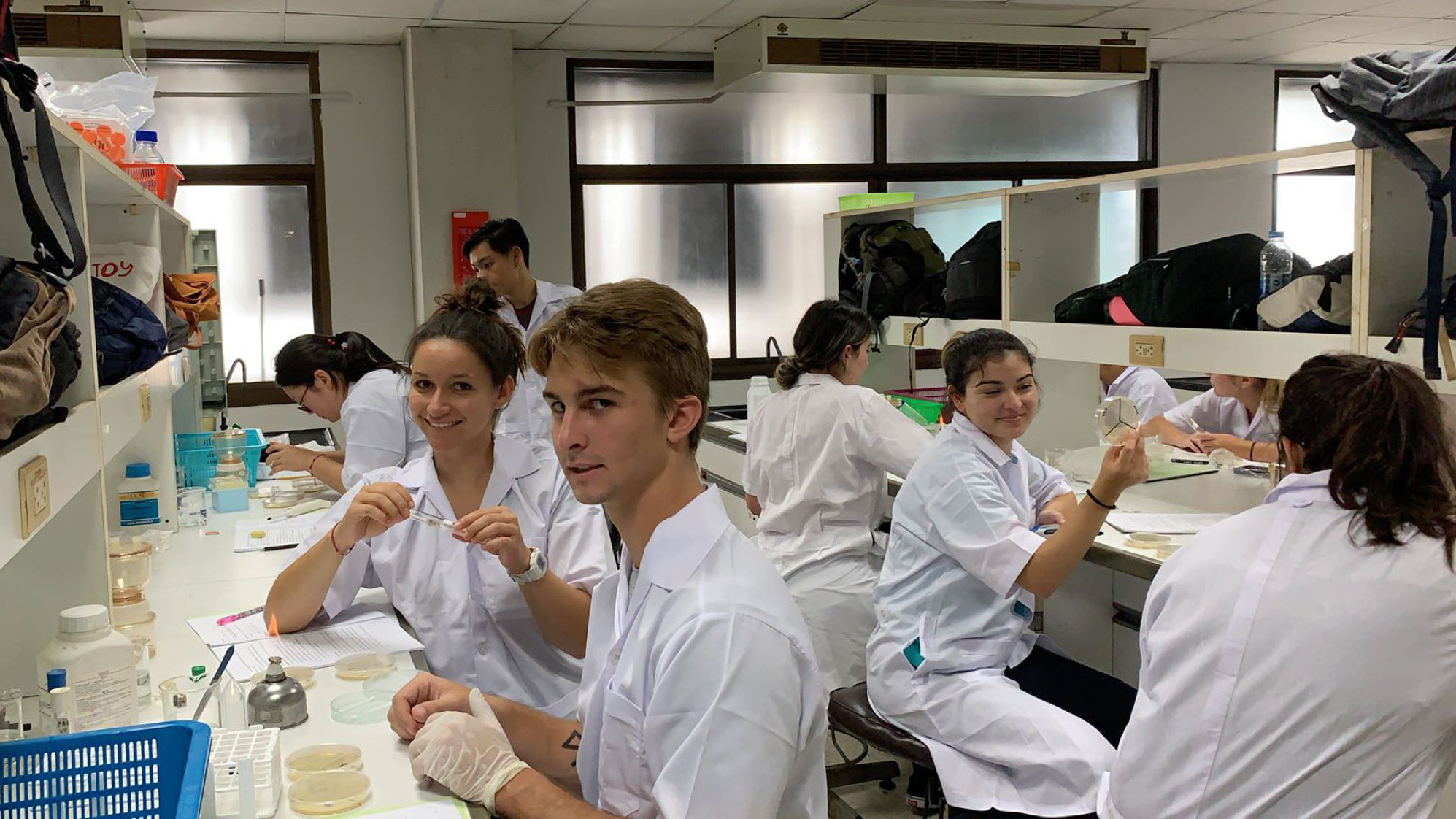 Students hard at work in a microbiology lab