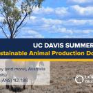 Graphic with text "UC Davis Summer Abroad Sustainable Animal Production in Australia"