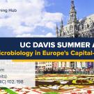 Graphic with text "UC Davis Summer Abroad Microbiology in Europe's Capital—Brussels"